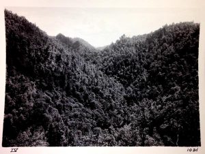 Pinnacles of Dan Valley Gorge before construction